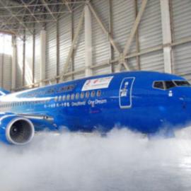 首架北京奥运主题彩色飞机亮相 色彩喷漆开先河