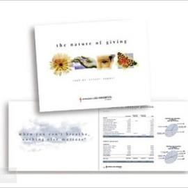 美国顶点设计（Top Design）公司宣传册设计