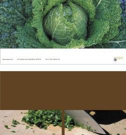 Robin Einzig平面设计欣赏