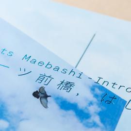 日本Arts Maebashi前桥美术馆画册设计