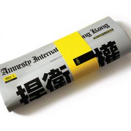 2011年香港国际特赦组织年度报告视觉设计