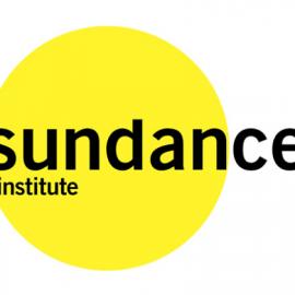 2014 Sundance电影节VI设计赏析