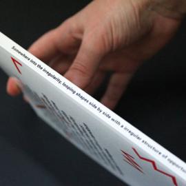 荷兰Ricardo Leite书籍设计