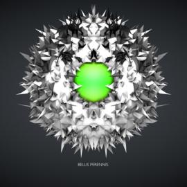 花的结构海报设计