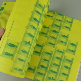 InformForm杂志第二期