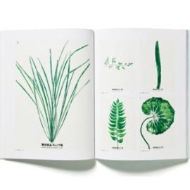 新村则人作品×书籍