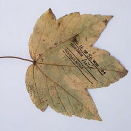 既有趣又富有创意的52款名片欣赏（一）