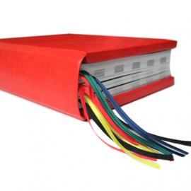 荷兰Trapped in Suburbia书籍设计