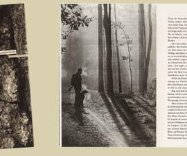 2006年度“德国最美的书”