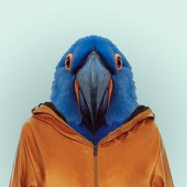 动物园集体肖像照