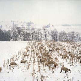Clare Richardson: Beyond the Forest 罗马尼亚高原上的村庄
