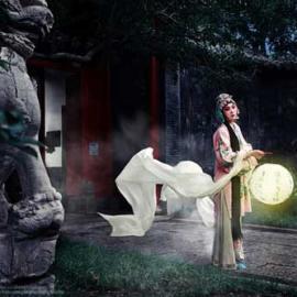 盛夏树 《游园惊梦》