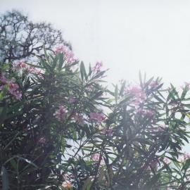 岩田俊介摄影作品 - 日系“小清新”