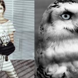 西班牙Stradivarius 'New Sight' Lookbook Fall 2011