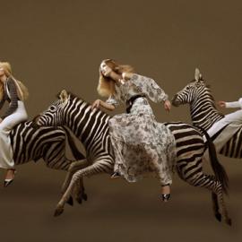 Cleo Sullivan摄影作品