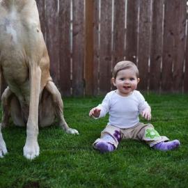 Erin Vey：成为姐姐的大丹犬