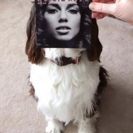 有趣的唱片脸摄影欣赏