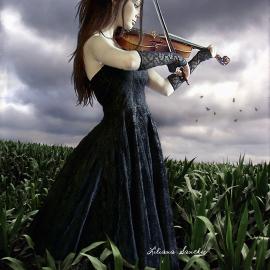 葡萄牙 Liliana Sanches 概念摄影