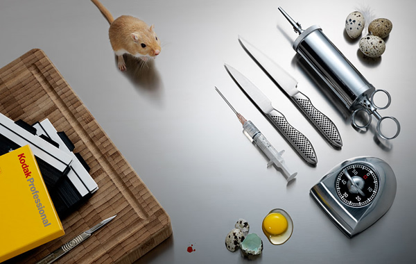 Klara G 巧妙创意―广告静物摄影欣赏