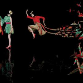 天堂鸟时尚摄影欣赏（二）