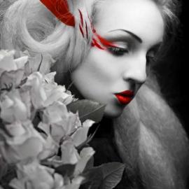 Silent View 红色黑色白色 时尚摄影欣赏