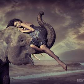 Kenvin Pinardy 摄影―Elephant Girl