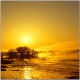 伊戈尔amelkovich摄影