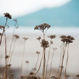 Trevorbrady摄影作品欣赏