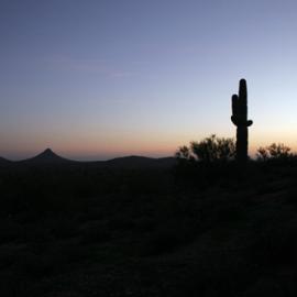 danieljenkins摄影作品