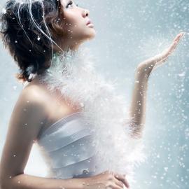 叶子摄影作品欣赏