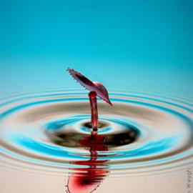 Martin自由流动摄影《liquid sculpture》欣赏