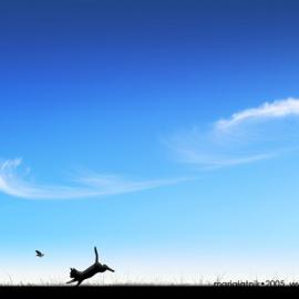 Maria Latnik 摄影作品欣赏