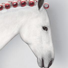 davidprior 摄影作品欣赏