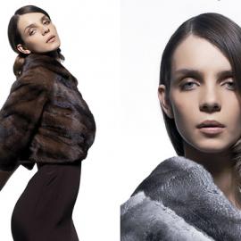 richardwarren 摄影作品欣赏