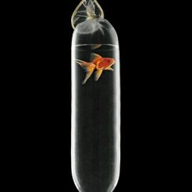 Kutncerv 时尚摄影广告作品欣赏