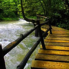 Torpa david .H collier 摄影作品欣赏