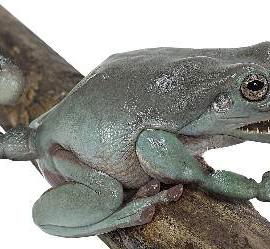 Min ghggin 摄影作品欣赏