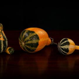 emil jianu静物摄影作品欣赏