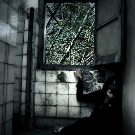 theartofrex摄影欣赏