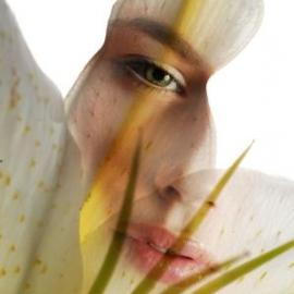 Ludovic Roy摄影师