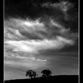 美国 dinmeleth2004 摄影作品欣赏（二）