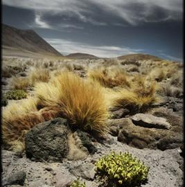 德国 Jianht 摄影作品欣赏