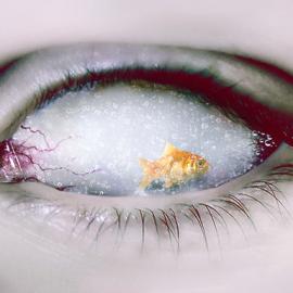 土耳其 Ange-L-ove 摄影作品欣赏（二）