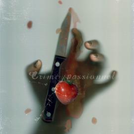 Sandrine Derselle 摄影作品欣赏