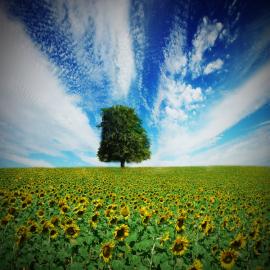 Jessica Bader摄影作品欣赏