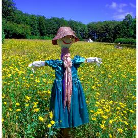 Jonathan 摄影欣赏