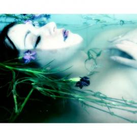 澳大利亚 AK Kittynn 摄影作品欣赏