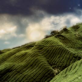 美国 nuaHs 概念摄影