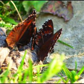 Pawel 摄影作品欣赏