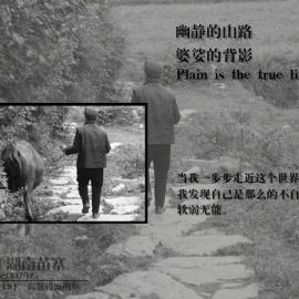 高斯模糊的鱼摄影作品